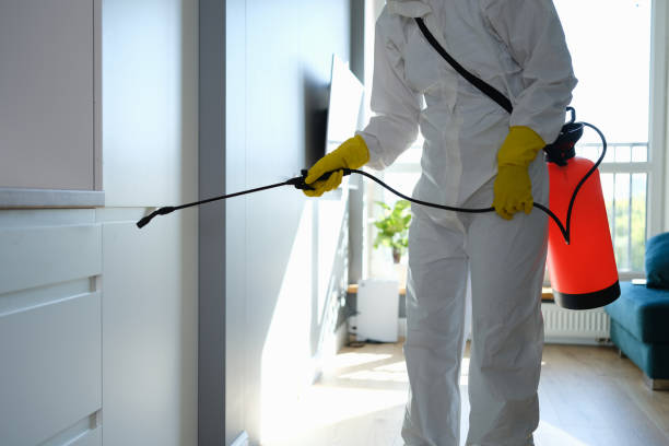 Environmental Consulting for Mold Prevention in Ashwaubenon, WI